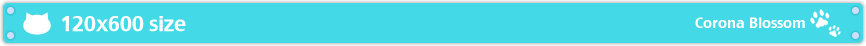 120×600size